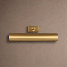 Belmore Picture Light - 30"Aged IronBlushlighting