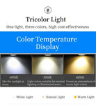 Bidi Multi Light Pendant Chandelier - Light WoodRound 10 LightBlushlighting