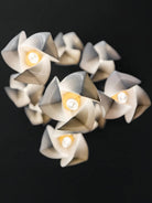 Bloom Chandelier - 26 Lights | Ellipse styleEmitting White LightingBlushlighting