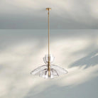 Blum Clear Glass Cloche Grand Pendant - Blushlighting
