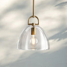 Botany Glass Dome Pendant 10″ 14″ 18″-14''-Lacquered Brass-