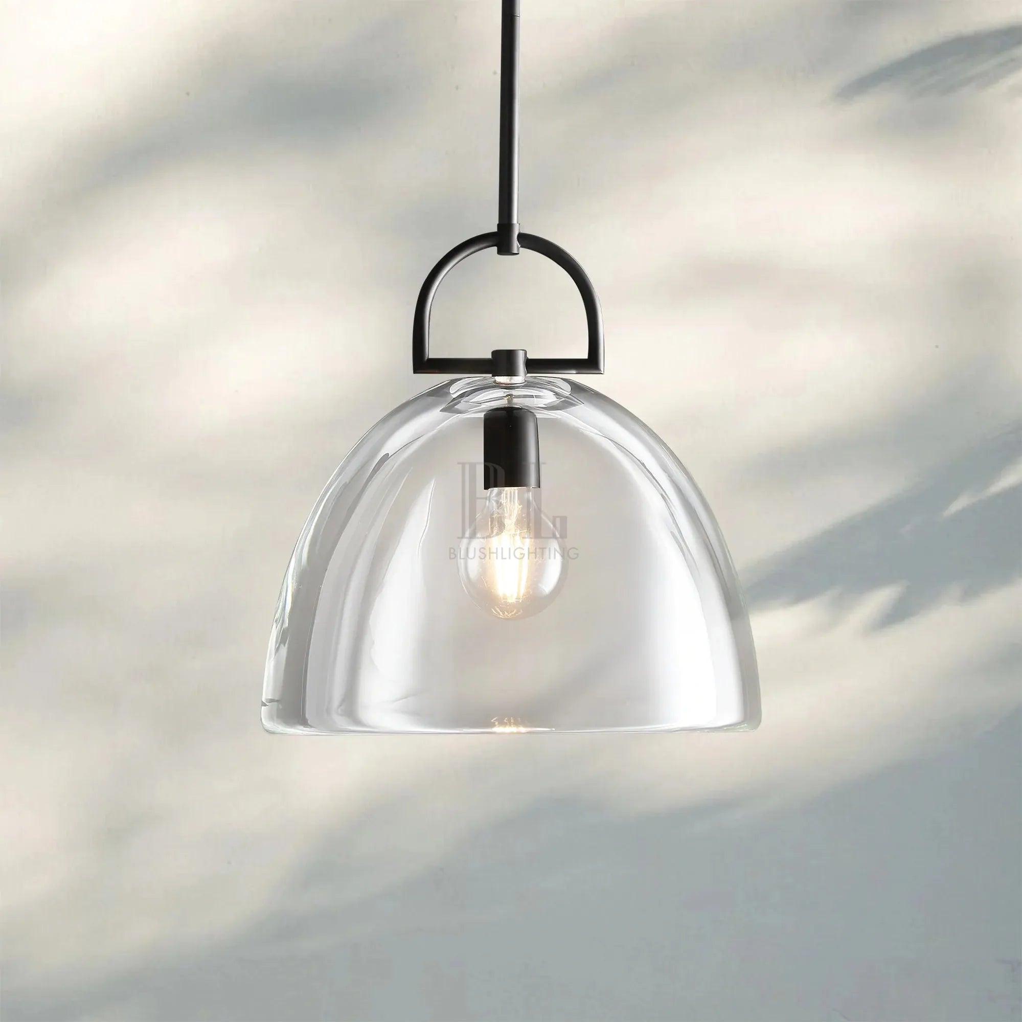 Botany Glass Dome Pendant 10″ 14″ 18″-10''-Matte Black-