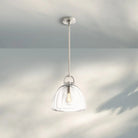 Botany Glass Dome Pendant 10″ 14″ 18″-18''-Polished Nickel-