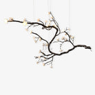 Branch Flower Chandelier - L 66.9″ x W 55.1″ x H 54.3″ / L 170cm x W 140cm x H 138cmBrass stained blackBlushlighting