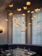 Brass Aviary Constellation Chandelier - 1 head ∅ 9.8″ x H 5.9″ / Dia 25cm x H 15cmBrass & BlackWarm LightBlushlighting