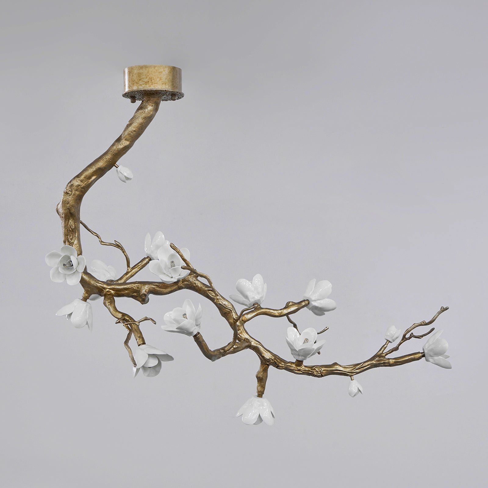 Brass Flower Branch Chandelier - L 31.5″ x W 19.7″ x H 25.6″ / L 80cm x W 50cm x H 65cmBrassBlushlighting