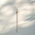 Cannel Torch Sconce - Blushlighting