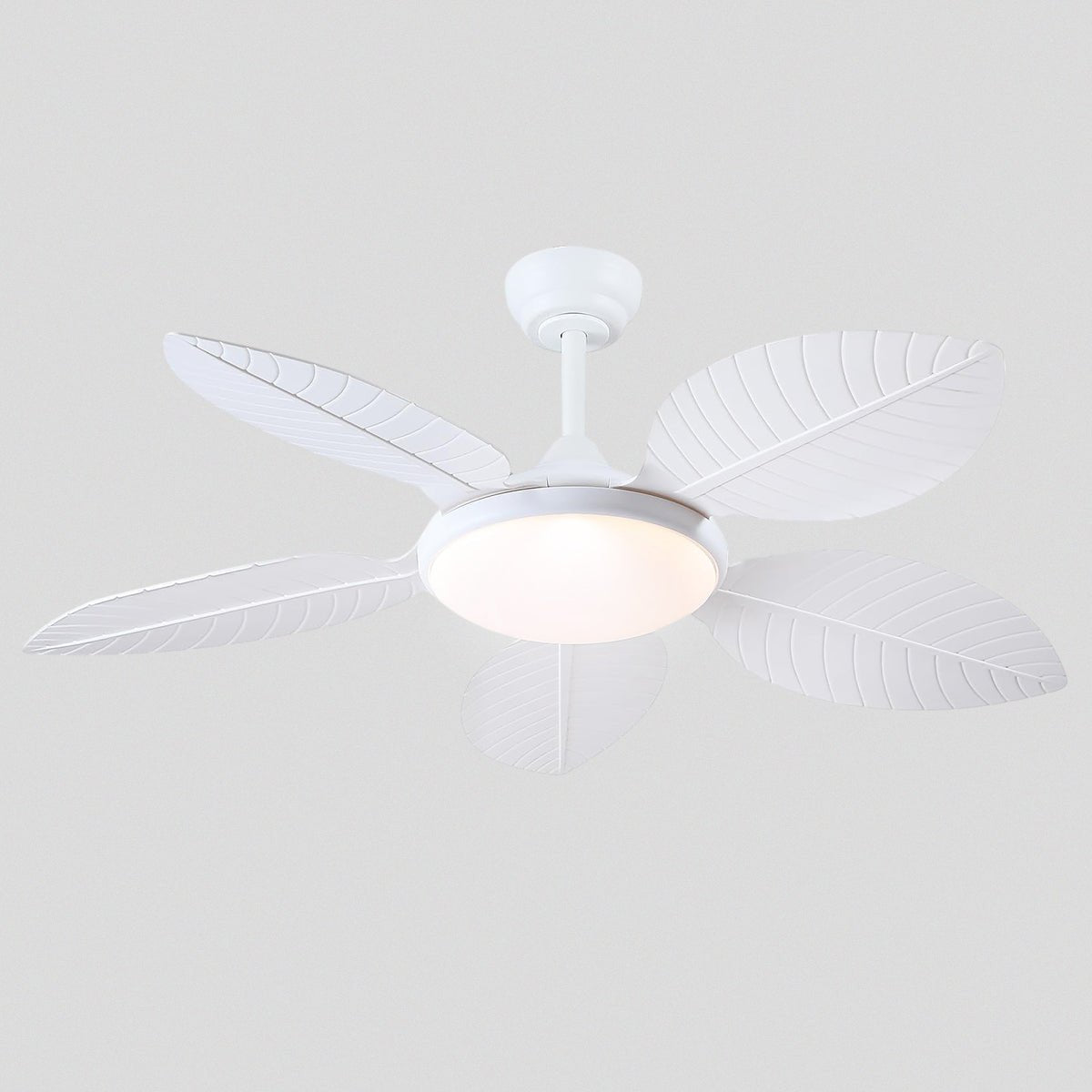 Ceiling Fan Palm Leaf Ceiling Fan 6 Speeds Reversible Ceiling Fans with Lights 48" - Blushlighting