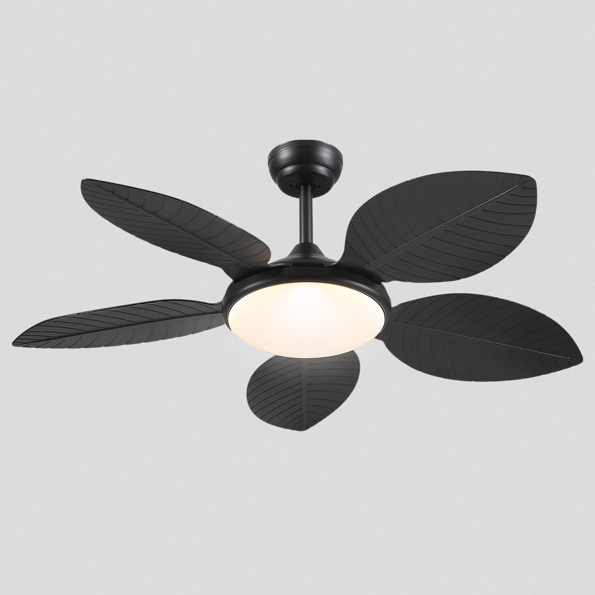 Ceiling Fan Palm Leaf Ceiling Fan 6 Speeds Reversible Ceiling Fans with Lights 48" - Blushlighting