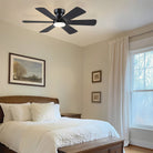 Celestial Wind Ceiling Fans with Lights - Wood GrainBlushlighting