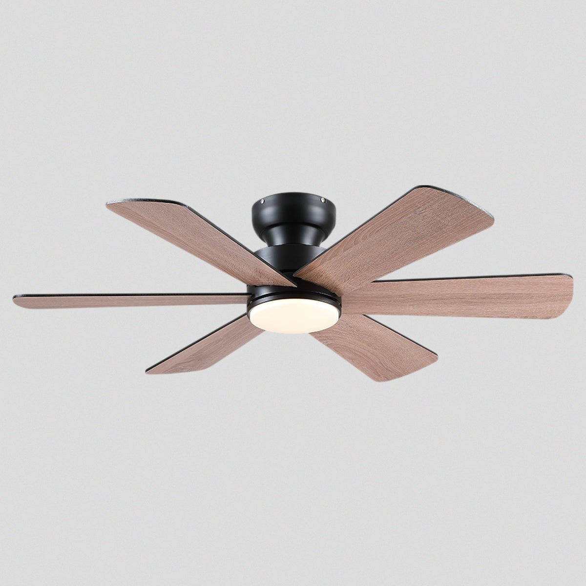 Celestial Wind Ceiling Fans with Lights - Black Wood GrainBlushlighting
