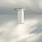 Champeau Flushmount Spotlight 7″H-Polished Nickel-