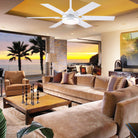 Clifan Ceiling Fans with Lights - Blushlighting