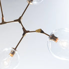 Covington Drop Globe Branching Bubble Chandelier 30''-Chandelier-Blushlighting
