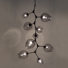 Covington Drop Globe Branching Bubble Chandelier 38''-Chandelier-Smoke Glass-Bronze-Blushlighting