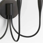 Curve Candelabra Wall Sconce - BlackBlushlighting