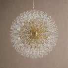 Dandelion Round Chandelier 22''30''43'' - Brass43"Blushlighting