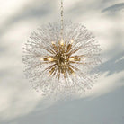 Dandelion Round Chandelier 22''30''43'' - Brass43"Blushlighting