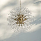 Dandelion Round Chandelier 22''30''43'' - Brass43"Blushlighting