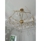 Dawn Teardrop Branch Brass Round Chandelier - 26" diameterClear GlassBlushlighting