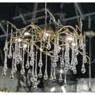 Dawn Teardrop Branch Brass Round Chandelier - 26" diameterClear GlassBlushlighting
