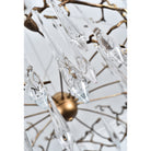 Dawn Teardrop Branch Brass Round Chandelier - 26" diameterClear GlassBlushlighting