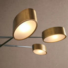 Etoile 6-Light Chandelier - Blushlighting