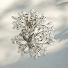 Fiore 2 - Light Wall Sconce - BrassBlushlighting