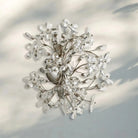 Fiore 2-Light Wall Sconce-Blushlighting