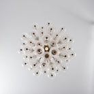 Florenzia Glass Chandelier - ∅ 25.6″ x H 32.6″Clear & GoldBlushlighting