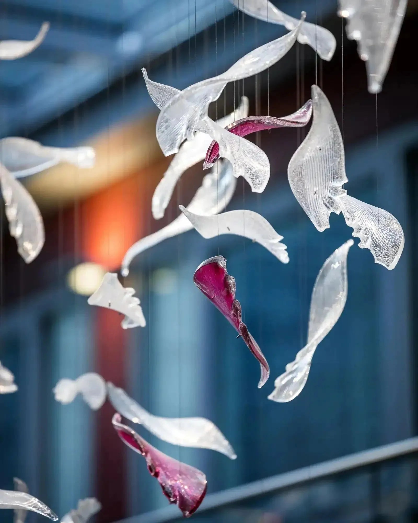 Flying Glass Feather Chandelier - L 100cm x W 60cm x H 150cm / L 39.4" x W 23.6" x H 59.1"Blushlighting