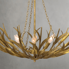 Fontara Reed Basin Chandelier - Blushlighting