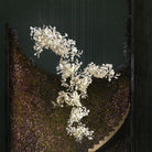 Gingko Combination Chandelier - L 137.8″ x H 118.1″ / L 350cm x H 300cmGold & WhiteBlushlighting