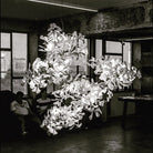 Gingko Leaves Chandelier - L 196.8″ x W 31.5″ x H 59.1″White & GoldBlushlighting