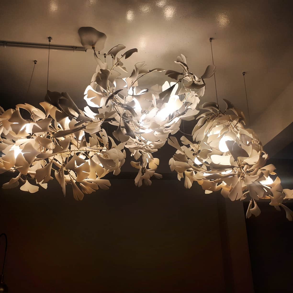 Gingko Leaves Chandelier - L 196.8″ x W 31.5″ x H 59.1″White & GoldBlushlighting