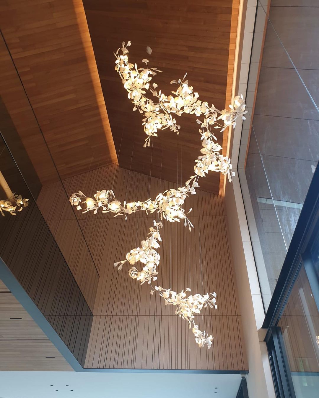 Gingko Leaves Chandelier - L 196.8″ x W 31.5″ x H 59.1″White & GoldBlushlighting