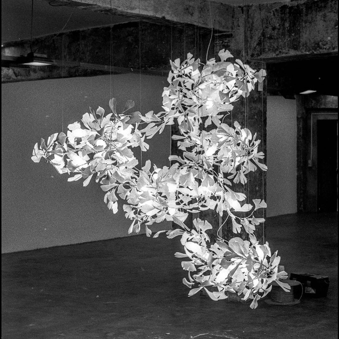 Gingko Leaves Chandelier - L 196.8″ x W 31.5″ x H 59.1″White & GoldBlushlighting