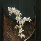 Ginkgo Combination Chandelier-chandeliers for dining room,chandeliers for stairways,chandeliers for foyer,chandeliers for bedrooms,chandeliers for kitchen,chandeliers for living room-Blushlighting