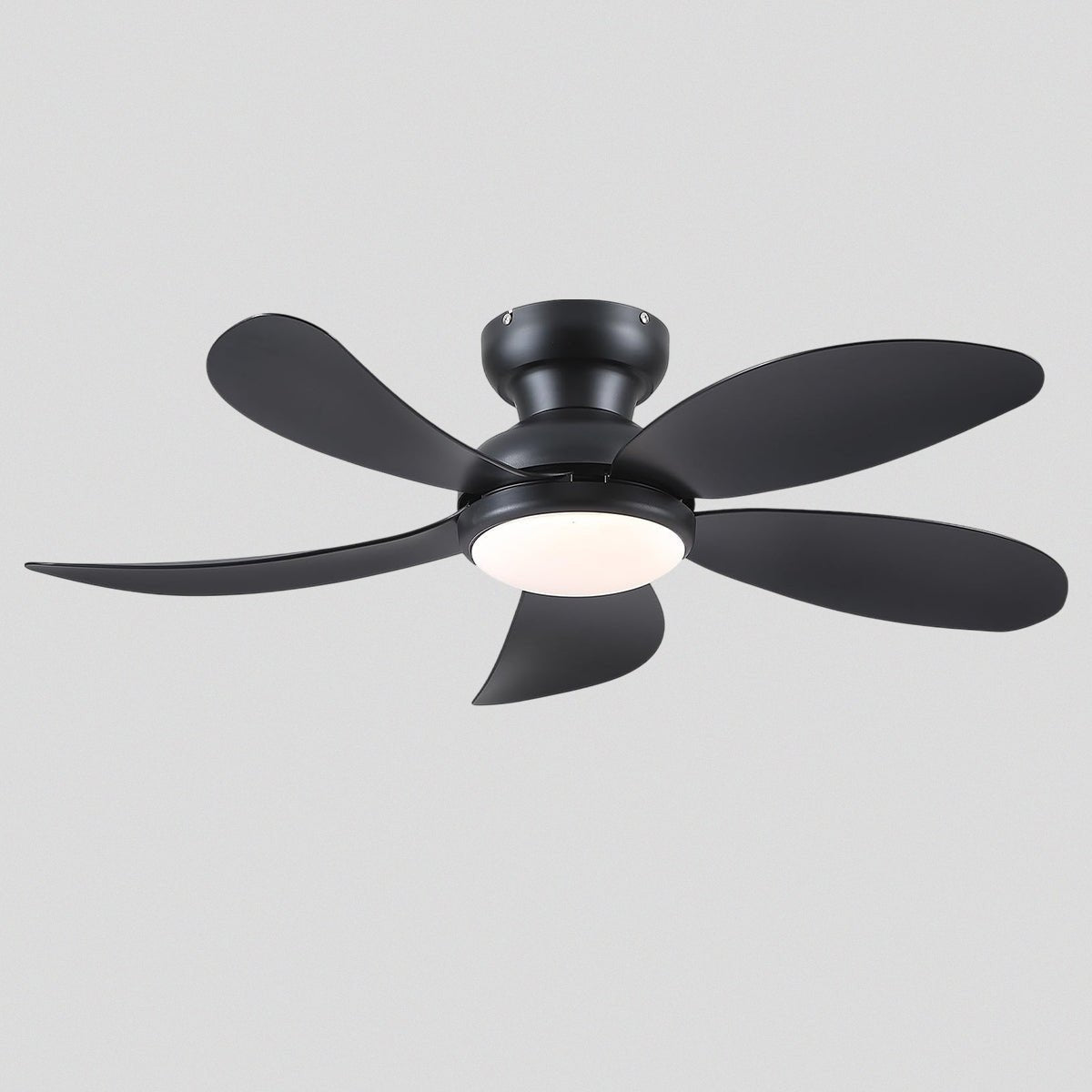 Graceshire contemporary ceiling fan - blackBlushlighting