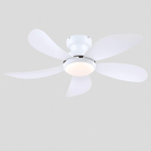 Graceshire contemporary ceiling fan - Blushlighting