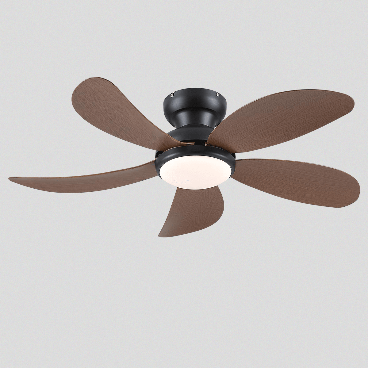 Graceshire contemporary ceiling fan - Blushlighting