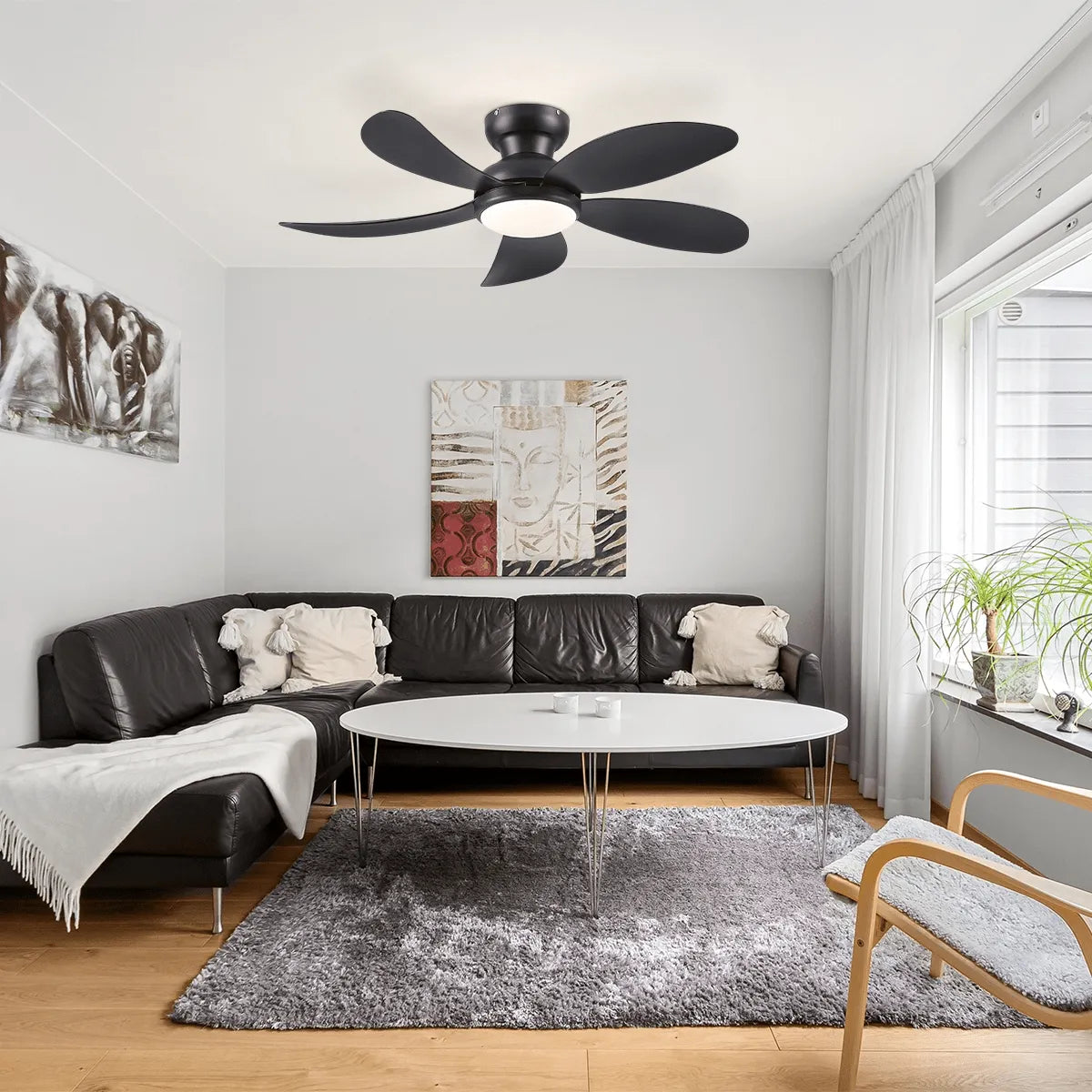 Graceshire contemporary ceiling fan - Blushlighting