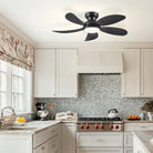 Graceshire contemporary ceiling fan - Blushlighting