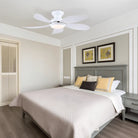 Graceshire contemporary ceiling fan - Blushlighting