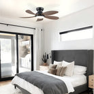 Graceshire contemporary ceiling fan - Blushlighting