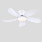 Graceshire contemporary ceiling fan - Blushlighting
