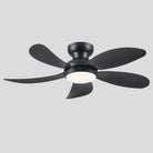 Graceshire contemporary ceiling fan - Blushlighting