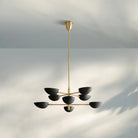 Graphica Chandelier 38" 73'' - Blushlighting