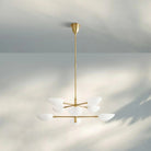 Graphica Chandelier 38" 73'' - Blushlighting