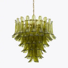 Green Petalo Murano Chandelier - Blushlighting